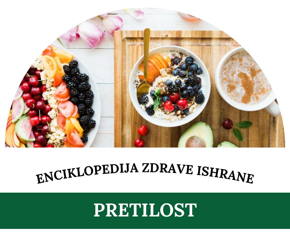 Šta je pretilost