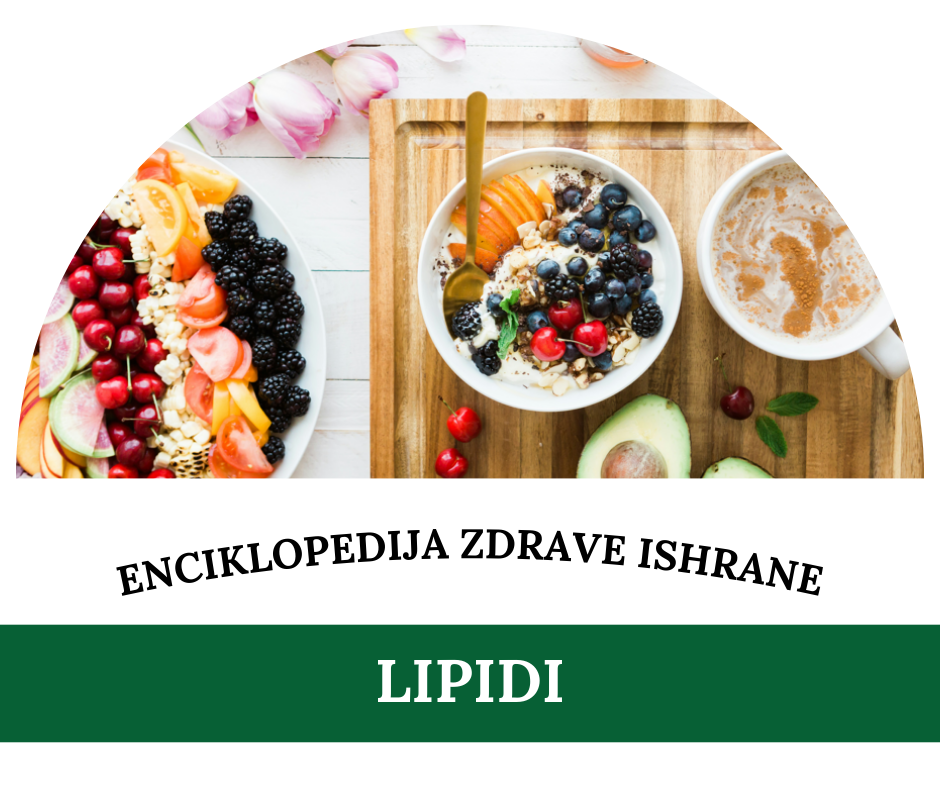 Šta su lipidi